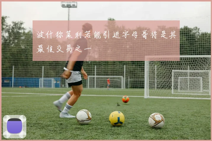 波什称莱利若能引进字母哥将是其最佳交易之一